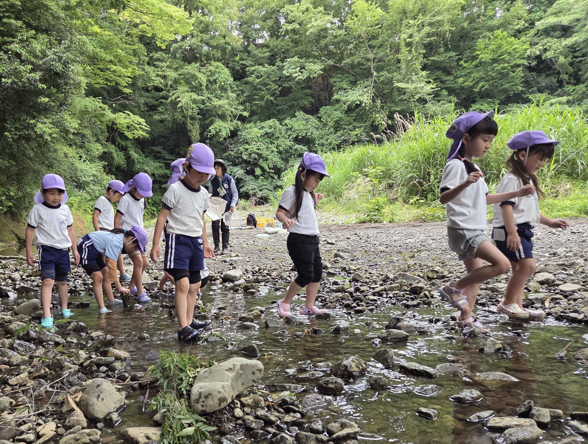 くずはの家にある川で、年長児が生き物探しをしているところです。