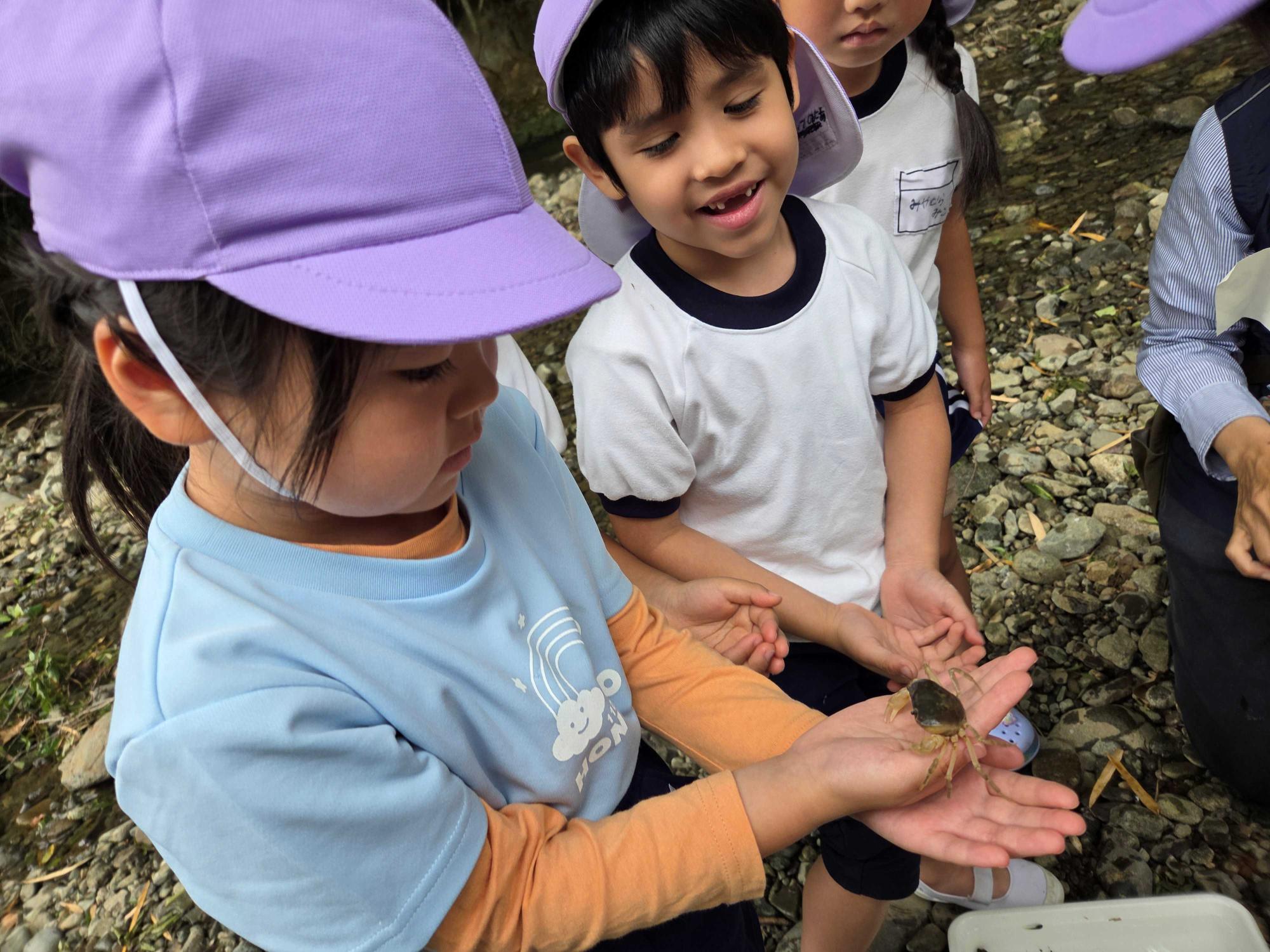 河原で見つけたサワガニを子どもが手に乗せ、友達と観察しているところです。