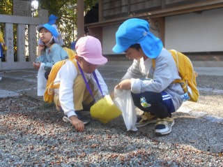 青とピンクの帽子をかぶった二人の園児が黄色いリュックを背負い、境内のような場所の地面に落ちた木の実を拾っている写真