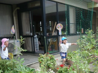 帽子をかぶった二人の園児が、建物に面した園庭の植え込みで、網を持ち虫を捕まえようとしている様子