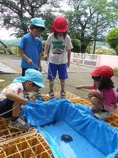 屋外に置かれた青いビニールシートの簡易プールを囲み、赤や水色の帽子をかぶった四人の園児が小さな釣り竿や棒を使って水槽にいるカメを熱心に見つめている写真