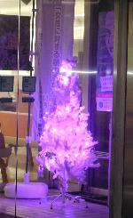 施設入口に紫色のLEDで飾られた白いクリスマスツリーと「女性に対する暴力をなくす運動11月12日~25日」と紫リボン・キャラクターを配した縦長のぼり旗が並ぶ啓発展示写真