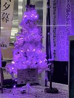 図書館入口に設置された紫色のLEDで輝く白いクリスマスツリーと「女性に対する暴力をなくす運動11月12日~25日」の懸垂幕が並ぶパープルライトアップ啓発展示の写真
