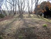 落葉した木々が生え、枯草や落ち葉に覆われた2つ連なった小さな丘が見える二子塚古墳の写真