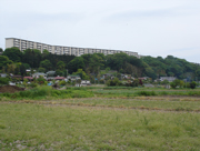 青々とした草が生えた広場や田畑の奥に、住宅街と、緑の木々に覆われたこんもりとした丘があり、その後ろに大きな白い集合住宅が建っている岩井戸・欠ノ上横穴墓群の写真