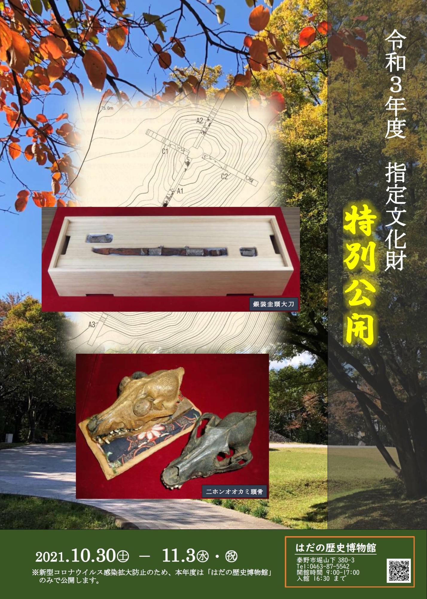 「令和3年度 指定文化財 特別公開」ポスター