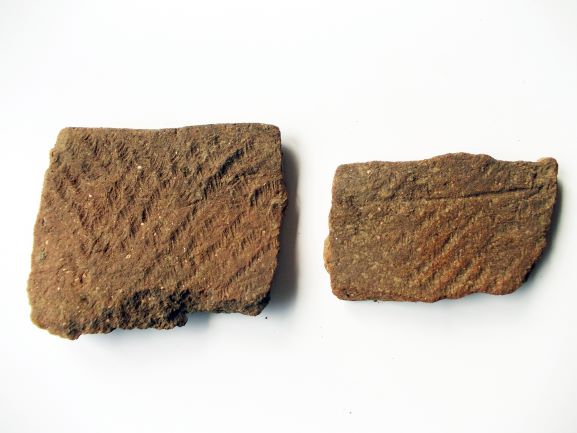 茶色い土器の破片が2つ横並びに置かれており、それぞれの表面には植物の葉や羽毛のような繊細な文様が刻まれている写真