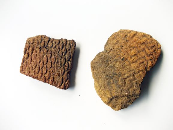 縄目のような文様が刻まれた土器の破片が2つ並べられている様子の写真