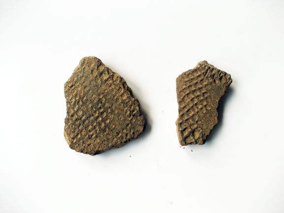 網目模様が刻まれた薄茶色の土器の破片が2つ並べられている様子の写真