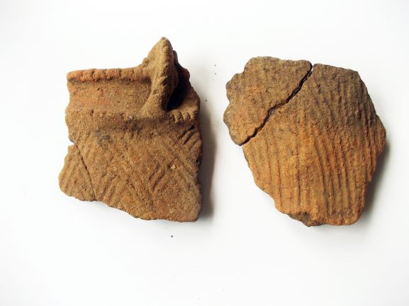 縄目のような文様が刻まれた土器の破片が2つ並べられており、右側の破片にはヒビが入った写真