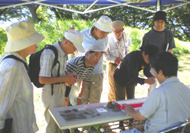 屋外に設置されたテントの下で、テーブルに並べられた土器などの出土品を複数の人々が熱心に覗き込んでいる様子を捉えた写真
