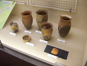 いくつかの縄文土器の破片や、修復された土器が展示ケースの中に並べられている写真