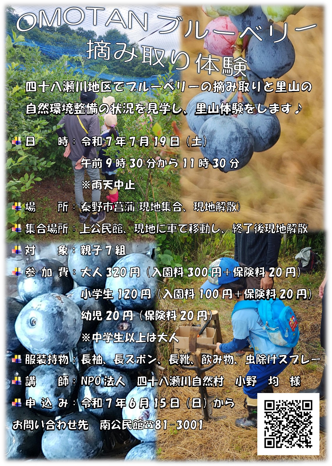 ブルーベリー摘み取り