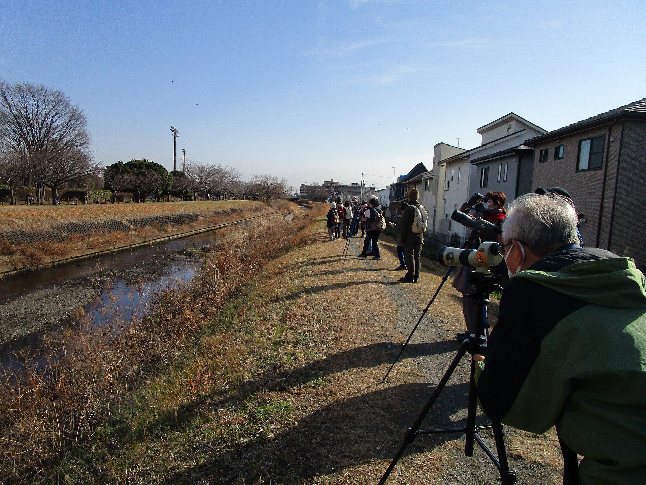 川の土手から大人数人が冬鳥を双眼鏡などで観察している
