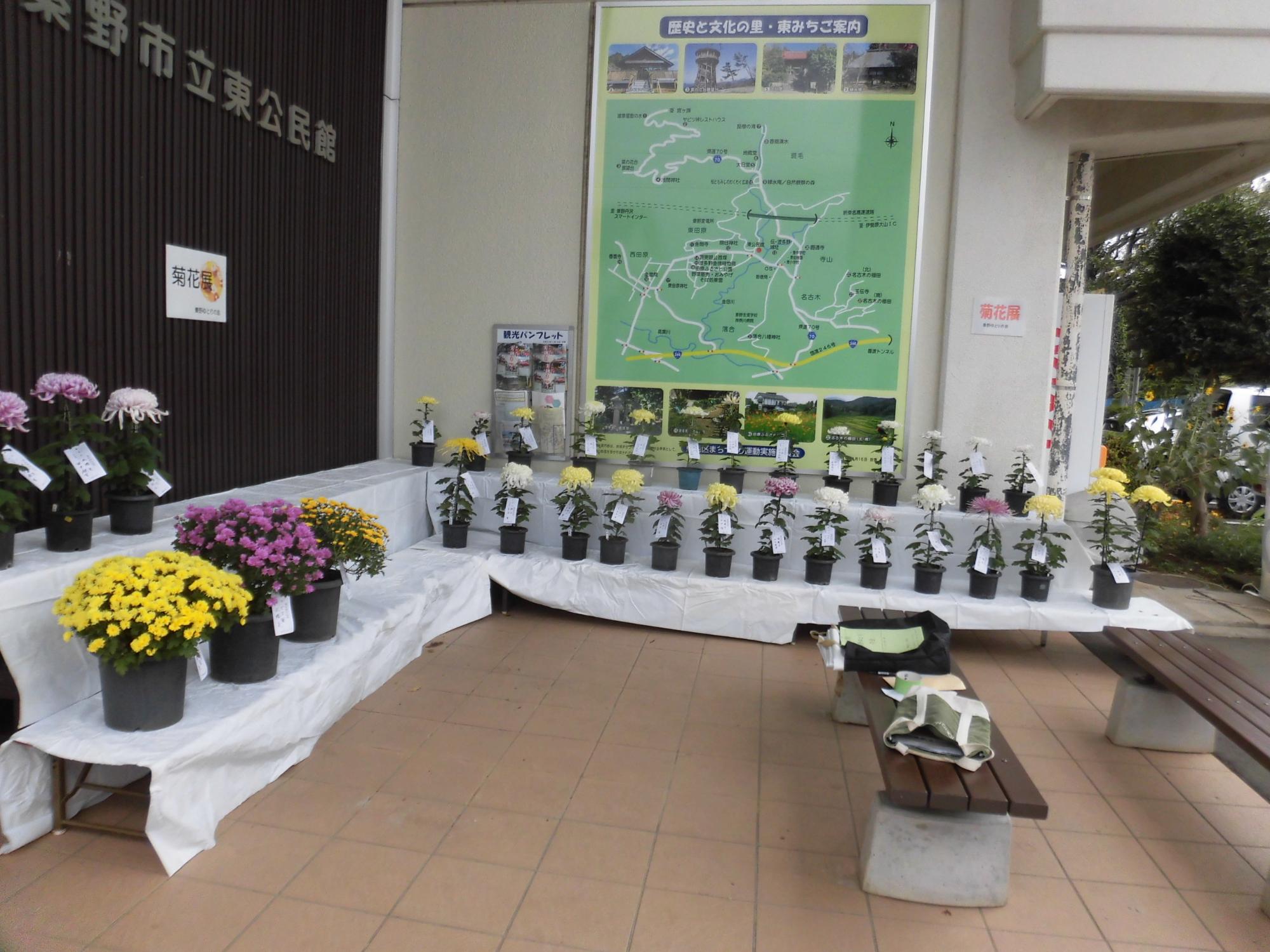 公民館の入口前で、大きな緑色の地図ポスターの下に白いテーブルが並べられ、黄色、ピンク、白などの菊やパンジーなどの鉢植えが多数展示されている写真