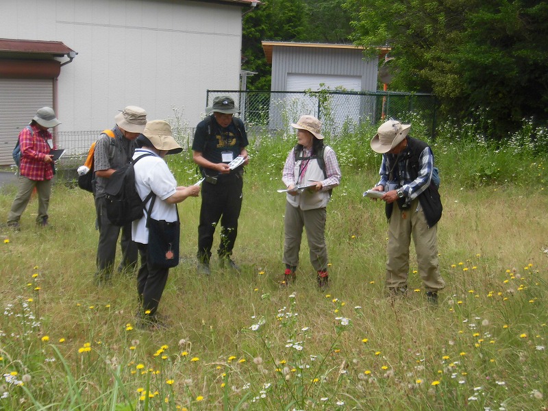 花が咲き乱れる草原で、数人の男女が帽子をかぶり、手に持った紙を見ながら何かについて話し合っている、自然観察会のような場面を捉えた写真
