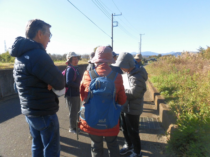 好天の屋外で、リュックを背負った数人の男女が、道端に集まりながら手に持った資料を熱心に確認しており、その横には枯れ草が生い茂っている様子の写真