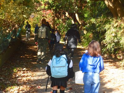 落葉した木々と紅葉が混在する木陰の道を、リュックを背負った大人と子どもたちが進んでいく様子の写真