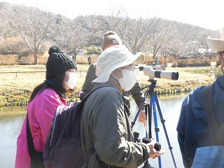 池のほとりでマスクを着用した男女のグループが、三脚に据えられた望遠鏡を覗きながら、冬のバードウォッチングを楽しんでいる様子の写真