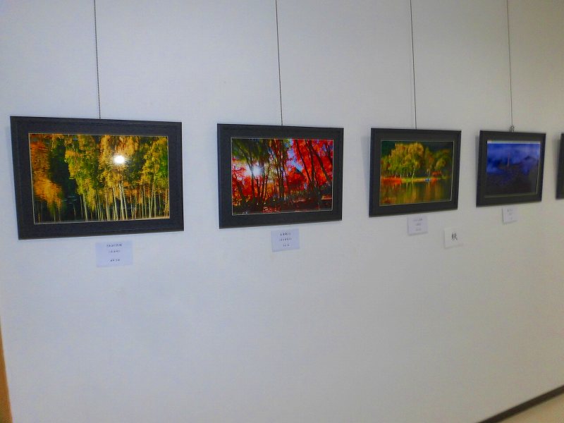 白い壁に複数の額縁に入った写真が展示されており、「秋」と書かれた札が添えられている、色鮮やかな紅葉の風景をテーマにした写真展の様子の写真