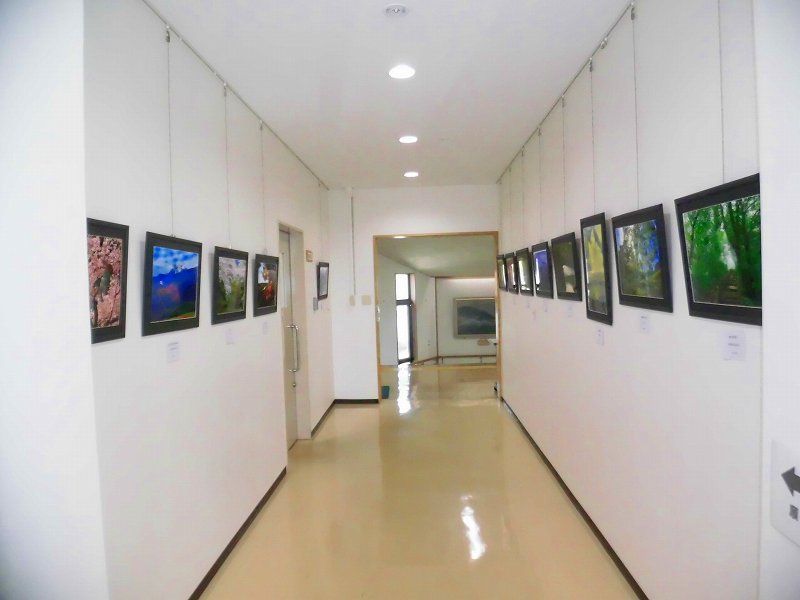 細長い廊下の両側の白い壁に、自然をテーマにした額縁入りの写真が多数展示されている様子を写した写真
