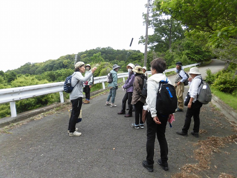 リュックを背負った男女のグループが、なだらかな坂道の途中にある白いガードレールの脇に集まり、一人の女性の説明に耳を傾けている写真