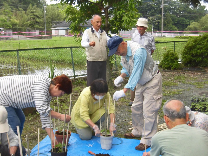 屋外の畑のような場所で、複数の年配の男女が、しゃがんで棒を立てたり植物を植えたりしており、それを立って見守る男性がいる様子を捉えた写真