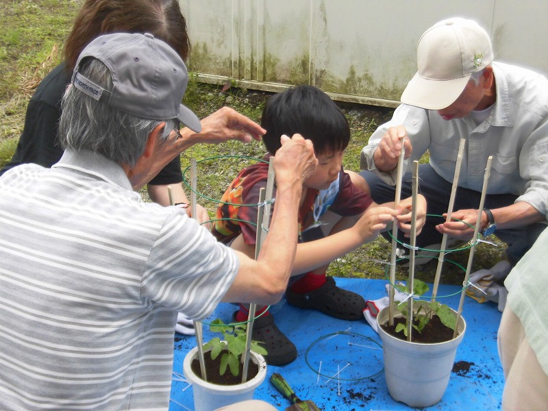 参加者の男女と一人の子どもが、植木鉢に植えられた植物に支柱を立てる共同作業を通じて、楽しそうに園芸活動を学ぶ様子を捉えた写真