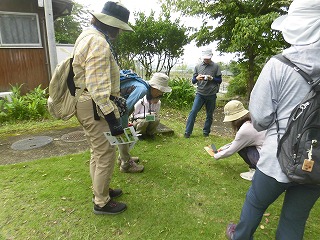様々な帽子を被った人々が、緑豊かな屋外の芝生の上にしゃがみ込み、手に持った白いプレート状の道具を使いながら、熱心に植物や昆虫を観察している写真