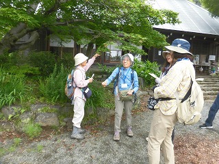 木陰で数人の男女が立ち止まり、一人が指差す木について笑顔で談笑しながら観察しており、その背景には伝統的な日本家屋が写っている写真