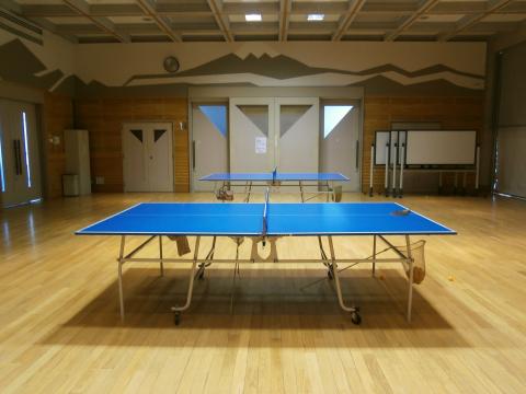 木製の床が張られた広い空間に、手前と奥に青い卓球台が2台設置されており、多目的ホール撮影した写真