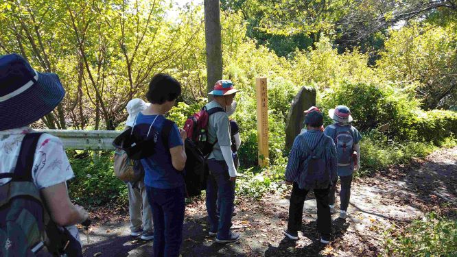 数名の大人が山を下っている