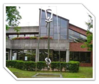 レンガ調やコンクリート造りの外壁でガラス張りになっている近代的な建物の前に、巨大な金属製のロープが宙に浮かぶように設置された抽象的な屋外彫刻の写真