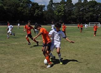 芝生のグラウンドで、オレンジ色と白色のユニフォームを着用した少年サッカーの選手たちが、ボールを競り合い、他の選手たちが周囲でプレーしている写真