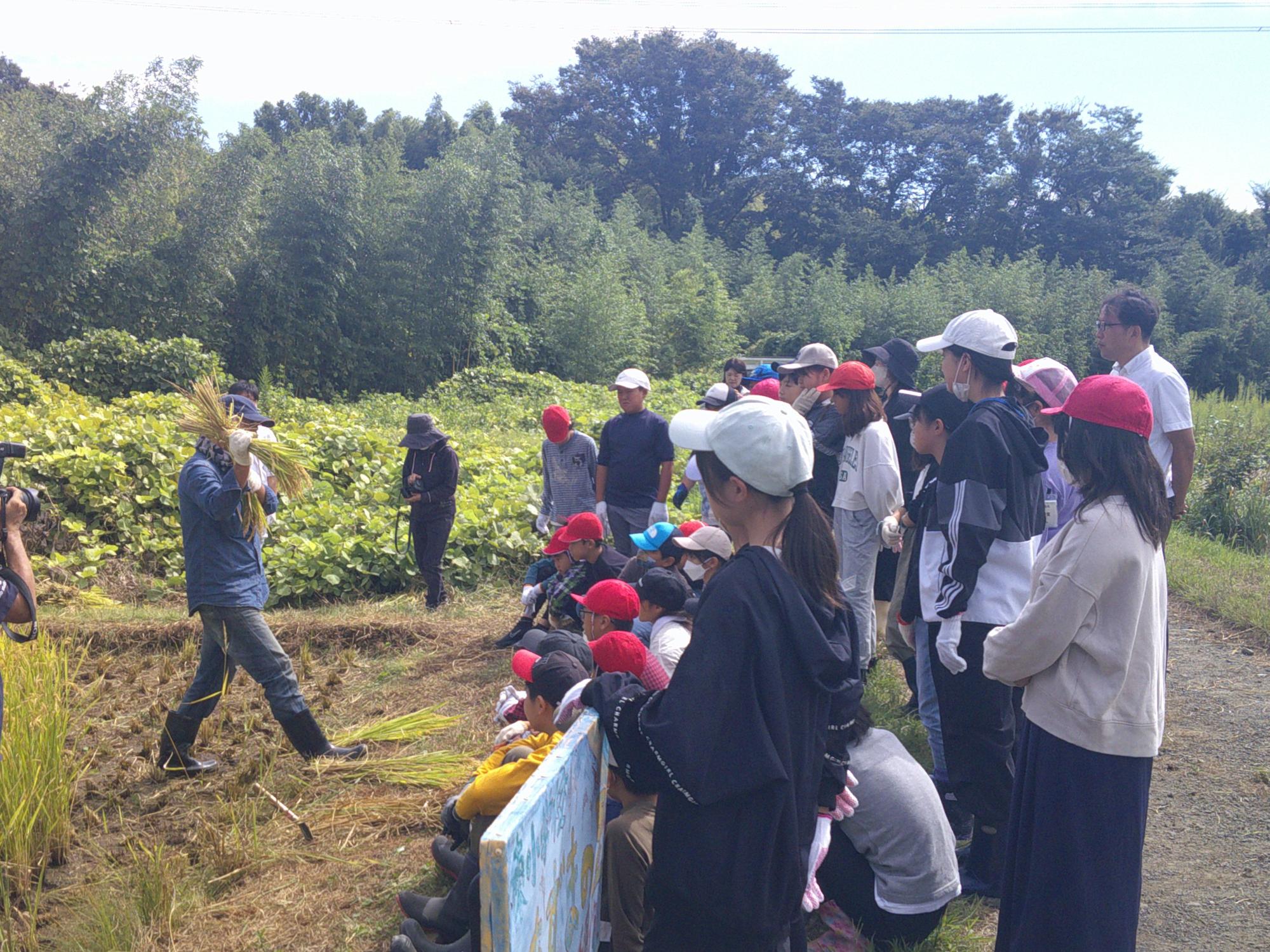 秋晴れの屋外で、農作業着を着てマスクを着用した男性が稲の束を持ち、それを大勢の子供や数名の大人たちが座ったり立ったりして、熱心に聞いてている稲刈り体験の様子の写真