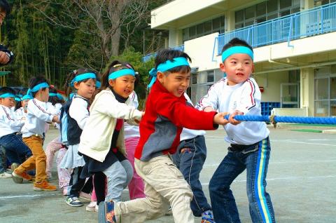 多くの子供たちが青いハチマキを頭につけ、一列に並んで太い青い綱を引き合っている、つなひきの様子の写真