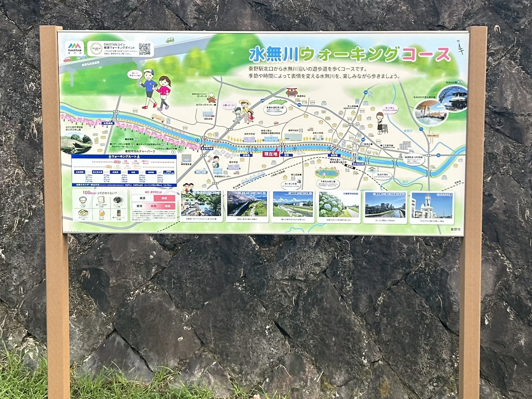 水無川ウォーキングコースを掲載した看板を写した写真