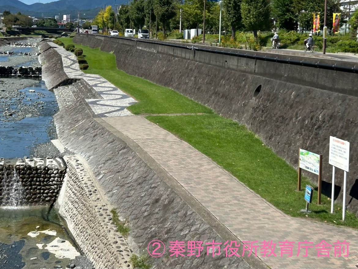 ゆるやかに流れる川の横の芝生やタイルで舗装された歩道に設置されている秦野市役所教育庁舎前の水無川ウォーキング看板の写真