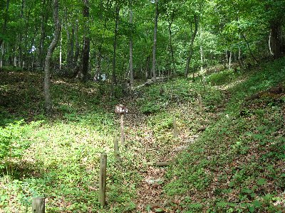 中央に丸太で作られた階段が設置された細長い木が立ち並ぶ森の中の傾斜地に看板が設置されている「下草の道」の写真