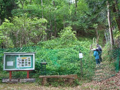 鬱蒼と生い茂った森の木の手前に木製のベンチや掲示板が設置され、緑色のネットで覆われたヤマユリの大群を、数人の人が階段から見ている入口広場の写真