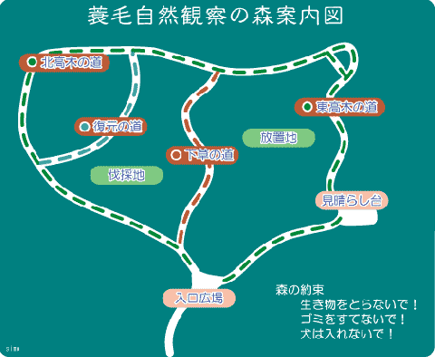 右下に注意事項が記載され、4か所の道が表示された蓑毛自然観察の森案内図