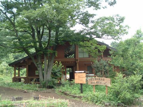 深い緑の木々に囲まれた自然の中に建つ、丸太小屋風の木造の建物が正面にあり、手前には「くずは野外展示場 生きた標本がいっぱい」と書かれた木製の看板と、案内板が立っているくずはの家建物外観の写真