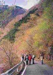 ガードレールが続く急な斜面と木々が生い茂る山肌が背景に広がる屋外の紅葉が始まった山あいの道路を、帽子を着用し軽装の男女数人のグループが立ち止まって会話をしている里山探検隊の写真