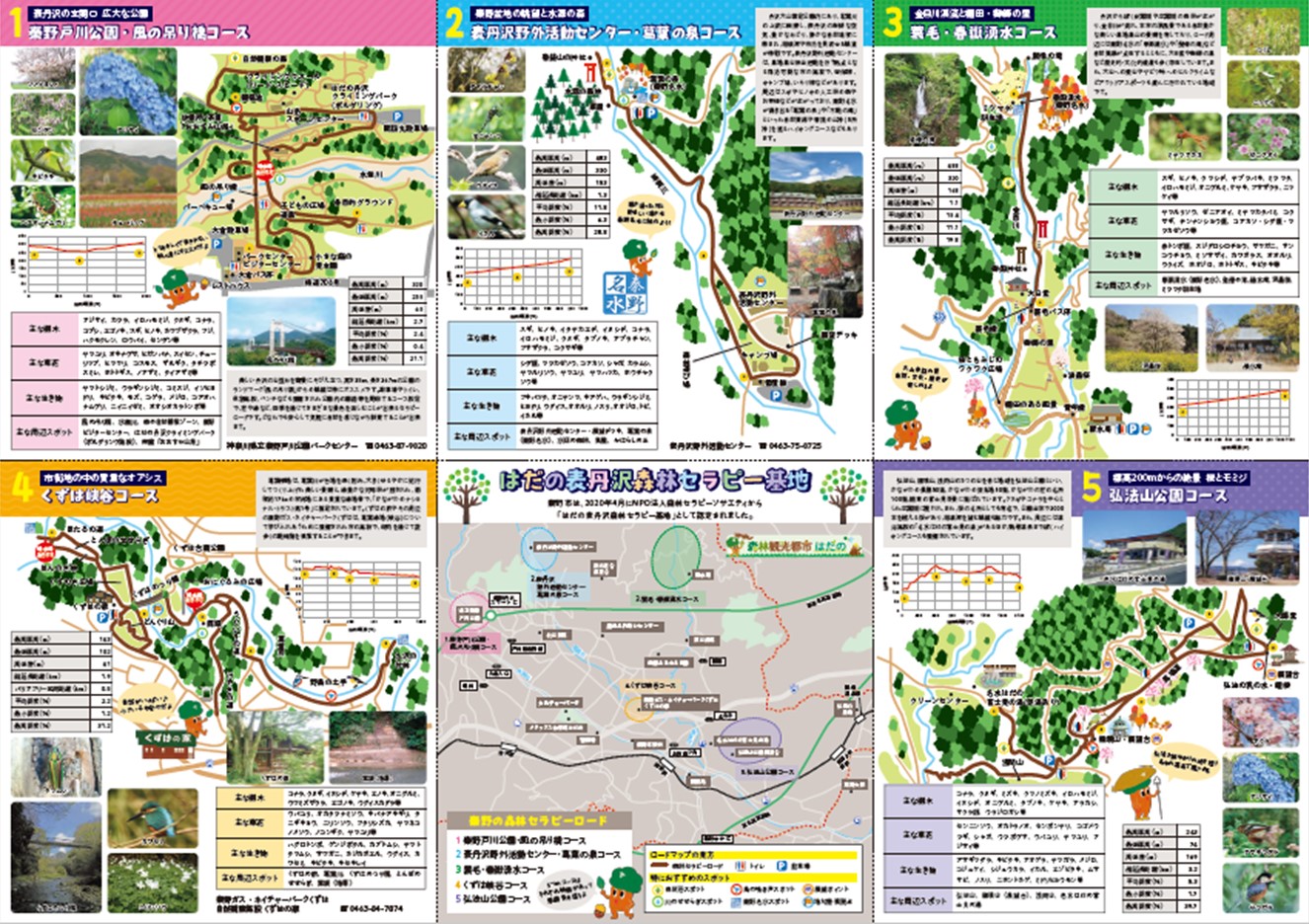 森林セラピーガイドブックコース面