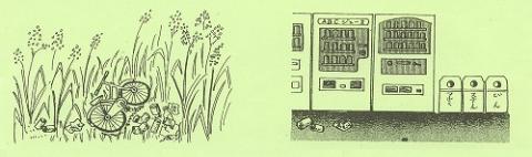 左:草むらに自転車やゴミが捨てられているイラスト、右:ゴミ箱が設置された自動販売機の前にゴミが散乱している様子を描いたイラスト