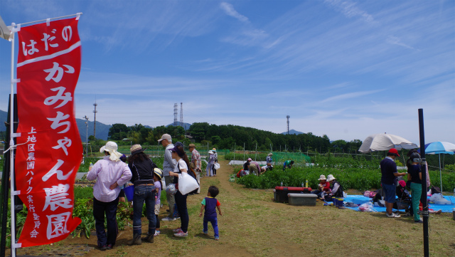 青い空と白い雲の下、広大な農園に立てられた赤い幟には「はだの かみちゃん農園」と書かれており、数組の家族や人々が畑の様子を眺めたり、作業をしたりしている賑やかな写真