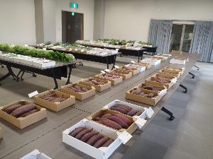 薄紫色や茶色がかった細長いサツマイモが、小さなダンボール箱に詰められて会議室の長机の上に整然と並べられており、奥の机にはレタスなどの葉物野菜も並べられている様子の写真