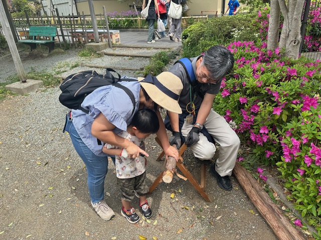 屋外の植栽の前で、男性が支えている細い丸を、小さな男の子がこぎりで切ろうとしており、後ろに立った女性が手を添えて手伝っている様子の写真