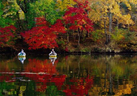 赤、黄、緑に色づいた木々が水面に鮮やかに映り込んでいる静かな池の上で、二艘の白いスワンボートが浮かんでおり、深まる秋の穏やかな自然の美しさを捉えた震生湖の写真