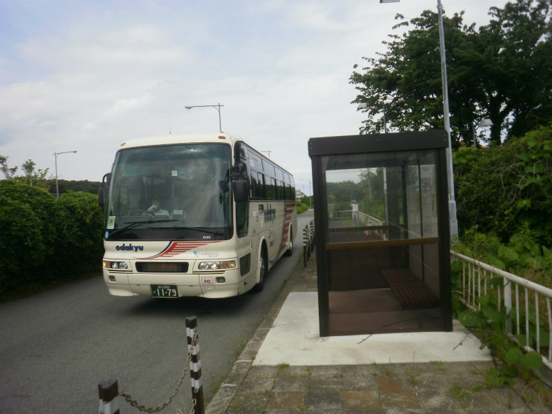 木々に囲まれた道路沿いに停車している白い大型観光バスと、その右側に設置された茶色いフレームのバス停留所が並ぶ写真